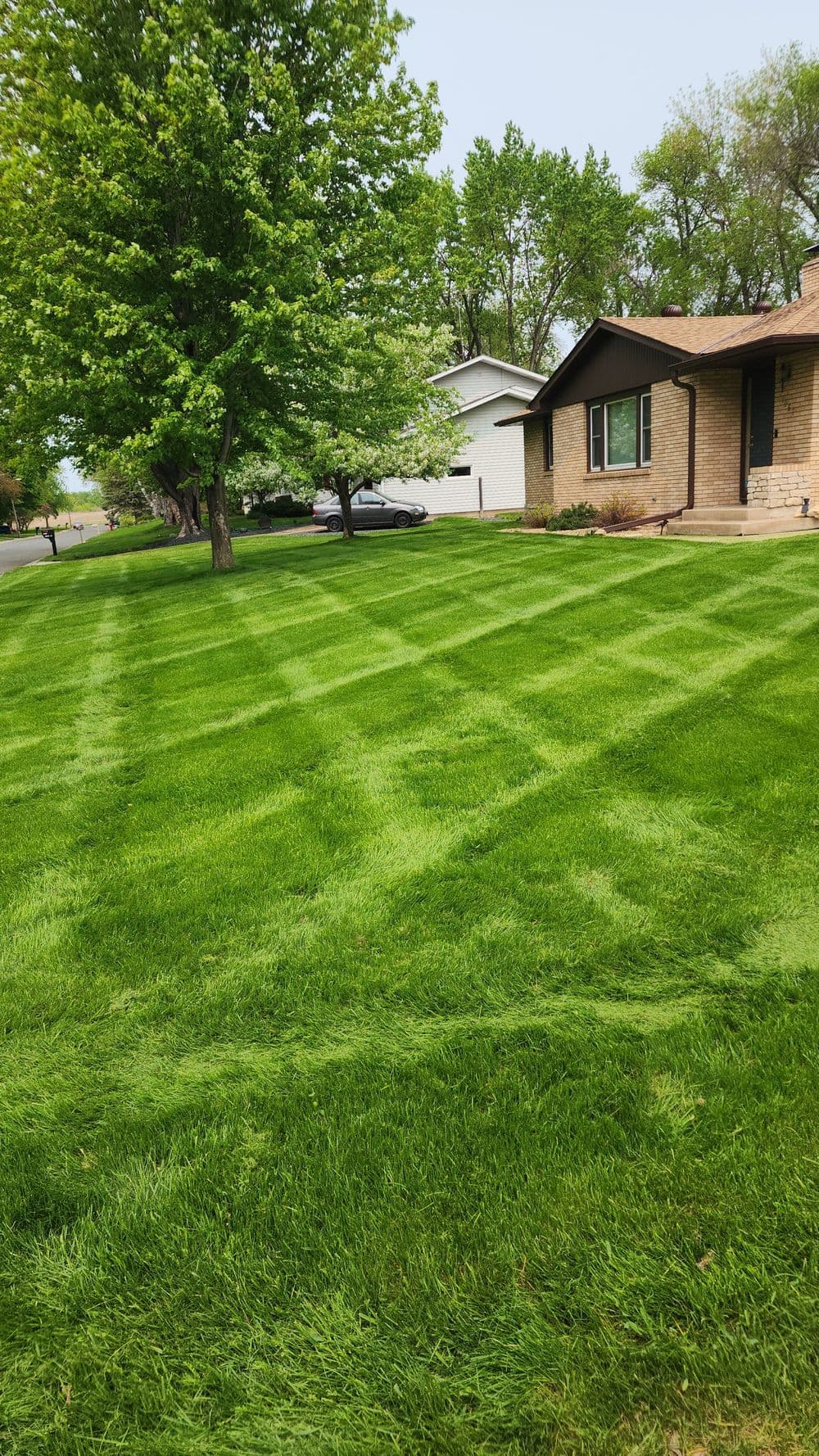 Lush green lawn with striped mowing pattern and residential homes in the background.