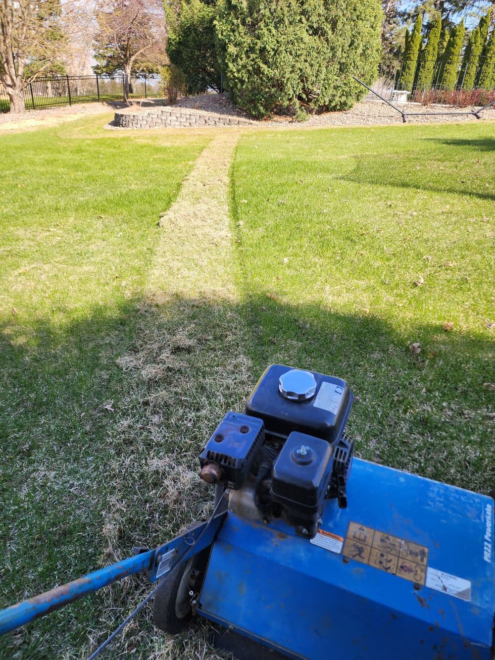 Lush green lawn with crisp mowing stripes and vibrant trees along a peaceful pathway.
